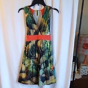 Eva Franco sleeveless dress size 4